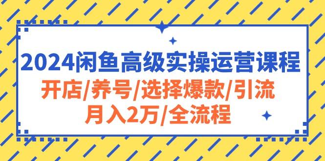 闲鱼高级实操运营课程：开店/养号/选择爆款/引流/月入2万/全流程