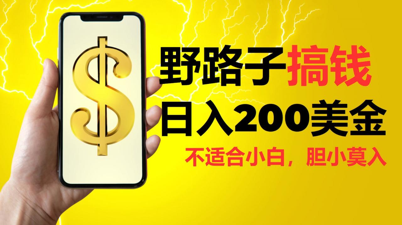 挂机野路子搞钱，日入200美金，路子很野，小白莫入-蜗牛学社