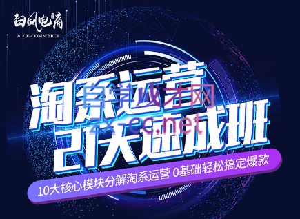 淘系运营21天速成班(更新7月)-蜗牛学社