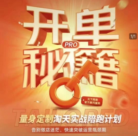 淘宝开单秘籍PRO，量身定制淘天实战陪跑计划，告别做店迷茫、快速突破运营瓶颈期(更新)-蜗牛学社