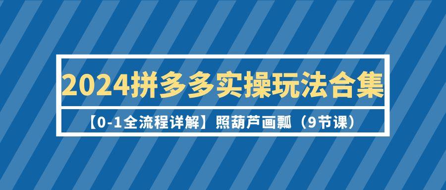 (9559期)拼多多实操玩法合集【0-1全流程详解】照葫芦画瓢(9节课)