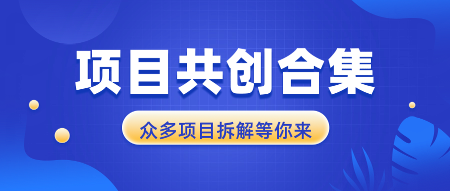 项目共创合集,从0-1全过程拆解,让你迅速找到适合自已的项目