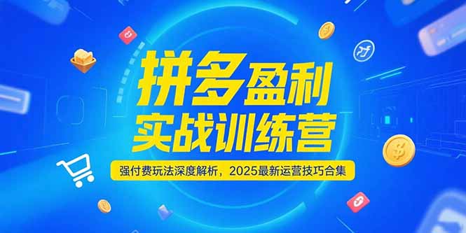 拼多多盈利实战训练营，强付费玩法深度解析，2025运营技巧合集-更新6月-蜗牛学社