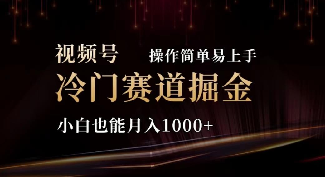 视频号冷门赛道掘金，操作简单轻松上手，小白也能月入1000+