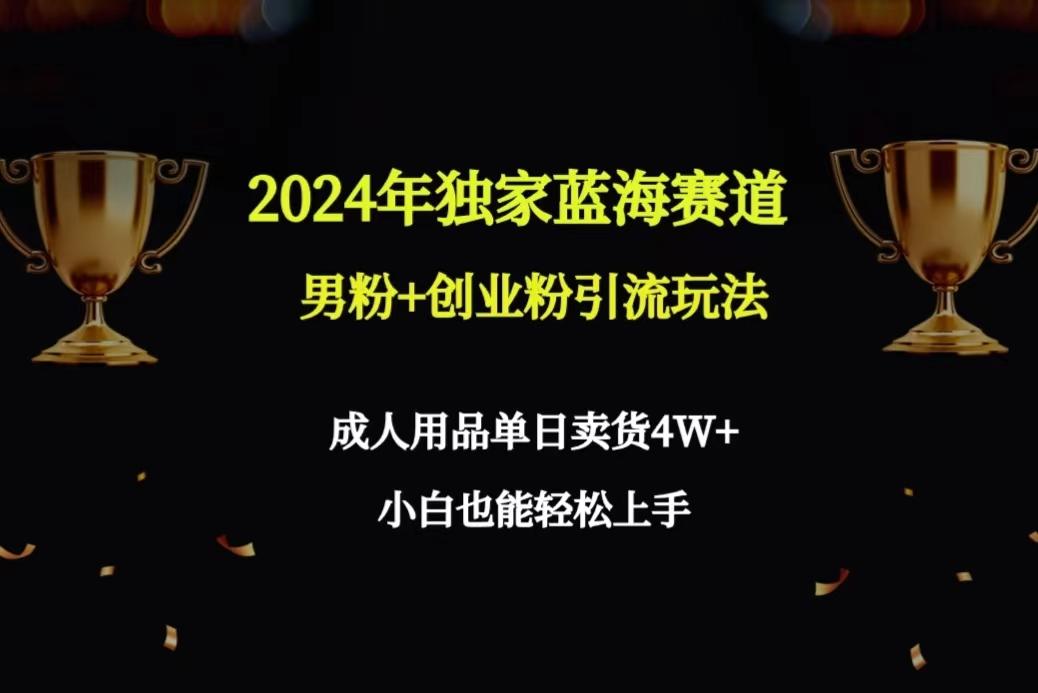 年独家蓝海赛道男粉+创业粉引流玩法,成人用品单日卖货4W+保姆教程