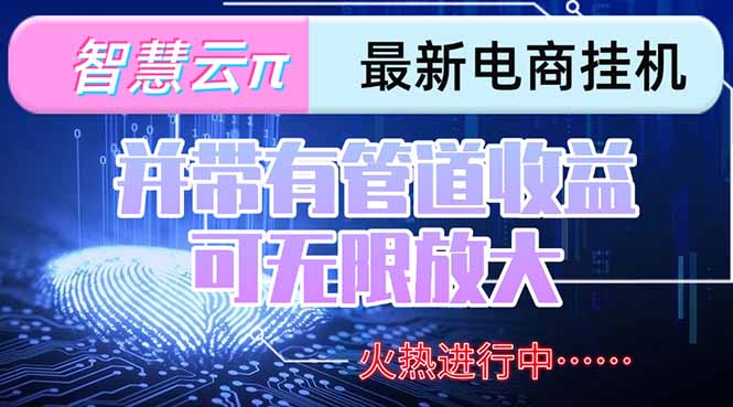 智慧云π电脑挂机单机每天收益300—500+ 并带有团队管道收益 可无限放大-蜗牛学社
