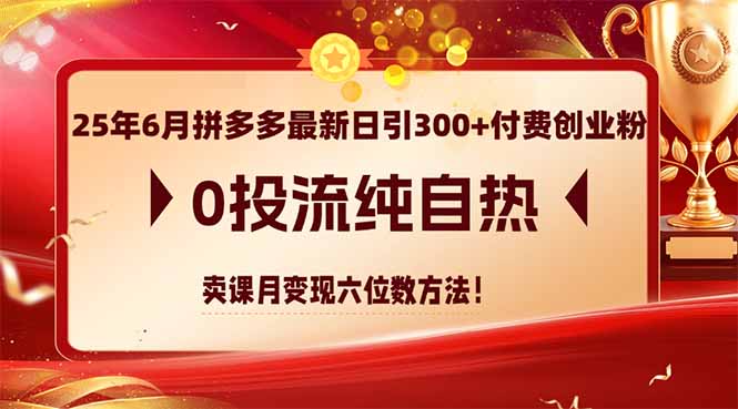 25年6月拼多多最新日引300+付费创业粉，0投流纯自热 卖课月变现六位数方法-蜗牛学社