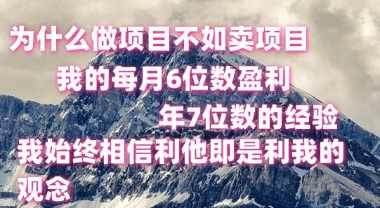 做项目不如卖项目,每月6位数盈利,年7位数经验-蜗牛学社
