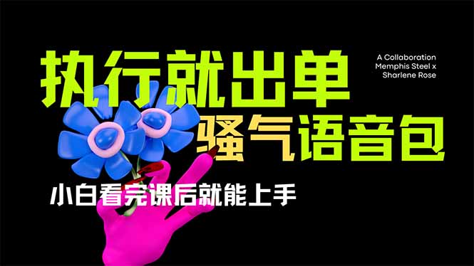 爆火全网的开车导航骚气语音包,只要执行就出单,小白看完课程就能实操…-蜗牛学社