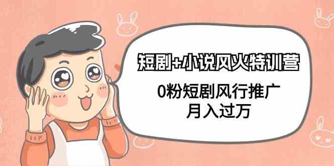 小说+短剧风火特训营,0粉短剧小说风行推广,实现月入过万