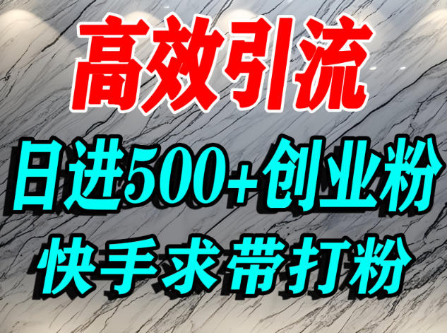 怎么打创业粉？快手求带视角精准引流创业粉，宝妈、学生群体日进500+精准流量-蜗牛学社