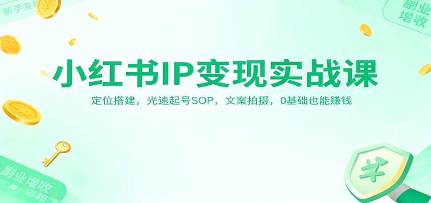 小红书IP变现实战课：定位搭建，光速起号SOP，文案拍摄，0基础也能赚钱-蜗牛学社