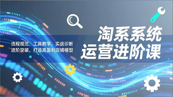 淘系系统运营进阶课2.0，流程规范、工具教学、实战诊断，进阶突破，打造高盈利店铺模型-蜗牛学社