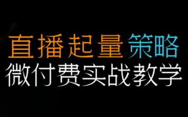半野老师·直播带货起量与微付费必学课视频号-蜗牛学社