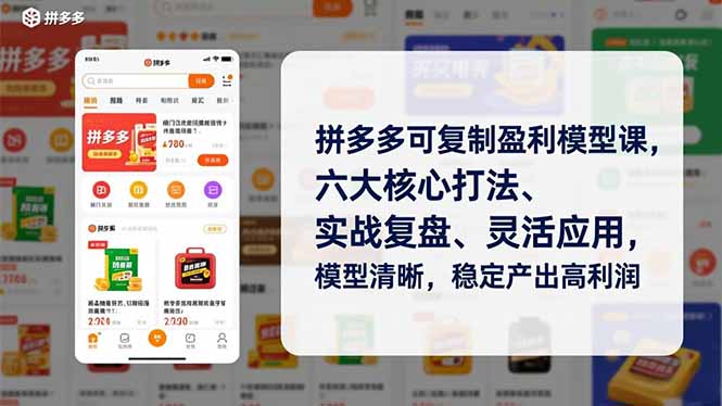 拼多多可复制盈利模型课，六大核心打法、实战复盘、灵活应用，模型清晰，稳定产出高利润-蜗牛学社