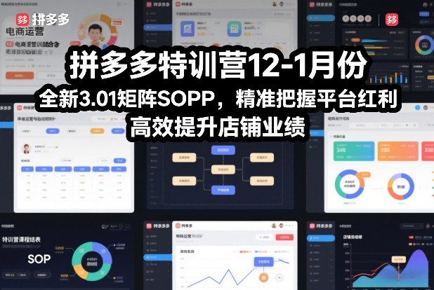 拼多多特训营12-1月份，全新3.01矩阵Sop，精准把握平台红利，高效提升店铺业绩-蜗牛学社