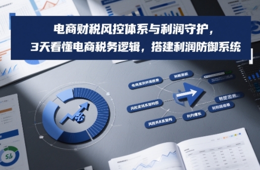 电商财税风控体系与利润守护，3天看懂电商税务逻辑，搭建利润防御系统-蜗牛学社