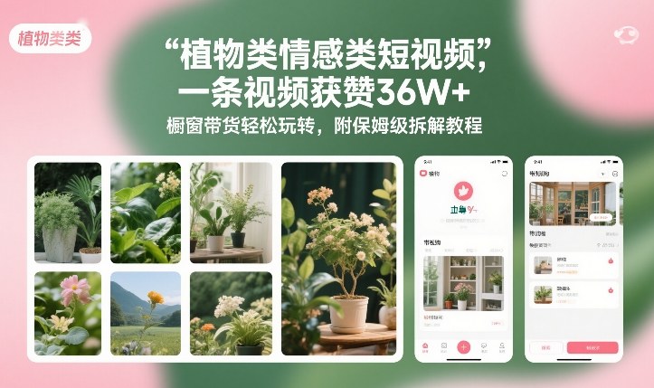 植物类情感类短视频，一条视频获赞36W+，橱窗带货轻松玩转，附保姆级拆解教程-蜗牛学社