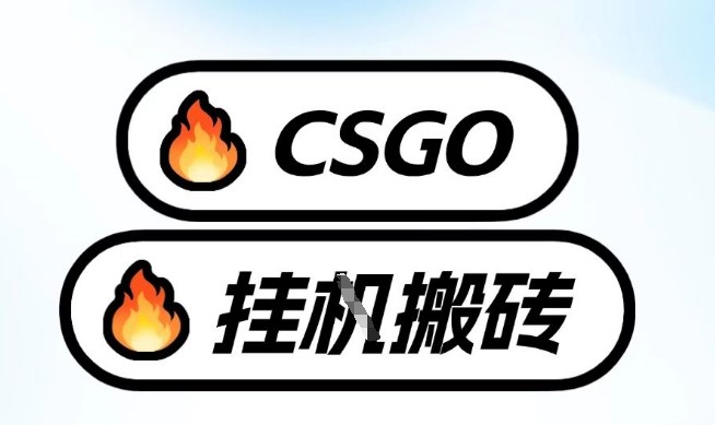 真全网独家CSGO挂G，最新玩法,单日捡漏1K+，不用电脑，不用打游戏【揭秘】-蜗牛学社