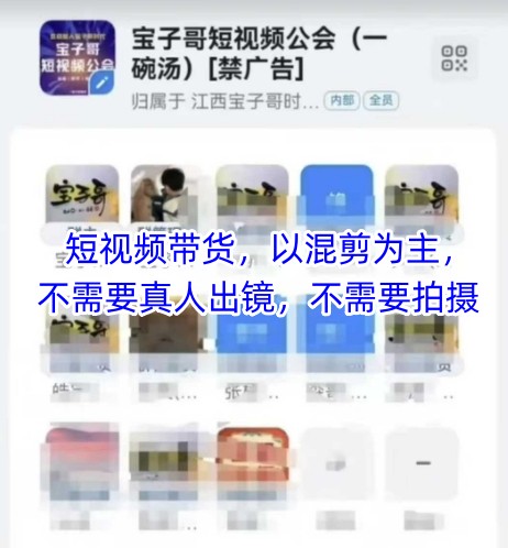 宝子哥头部团队短视频带货，以混剪为主，不需要真人出镜，不需要拍摄【更新26年3月】-蜗牛学社
