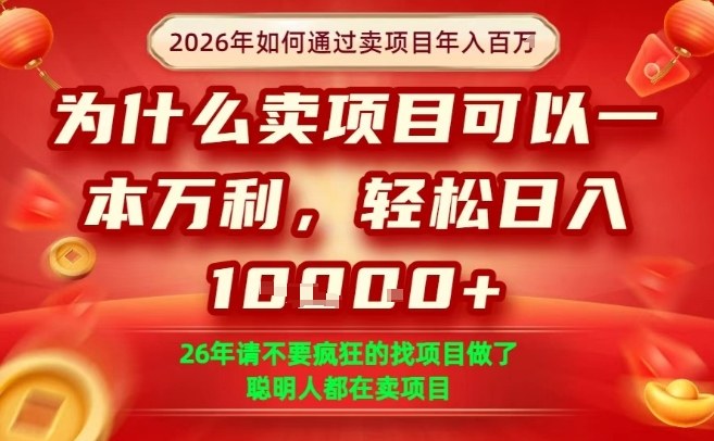 一单净利润1K+，26年想年入100个W，死磕卖项目就够了【揭秘】-蜗牛学社