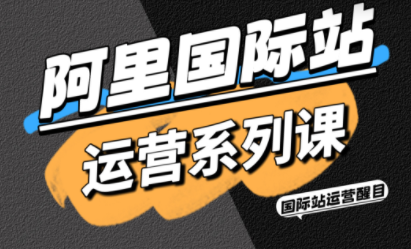 醒目老师·阿里国际站运营系列课(更新3月)-蜗牛学社