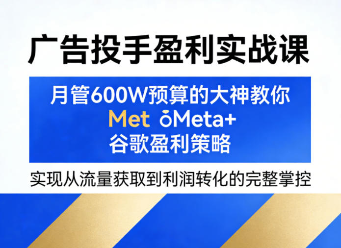 广告投手盈利实战课，月管600W预算的大神教你Meta+谷歌盈利策略，实现从流量获取到利润转化的完整掌控-蜗牛学社
