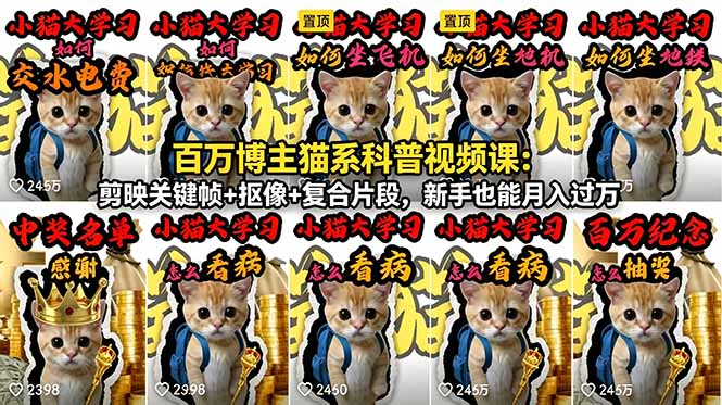 百万博主猫系科普视频课:剪映关键帧+抠像+复合片段,新手也能月入过万-蜗牛学社