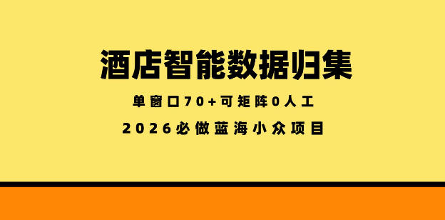 酒店智能数据归集,小众蓝海已经稳定半年之久,单窗口70+零成本矩阵开干【揭秘】-蜗牛学社