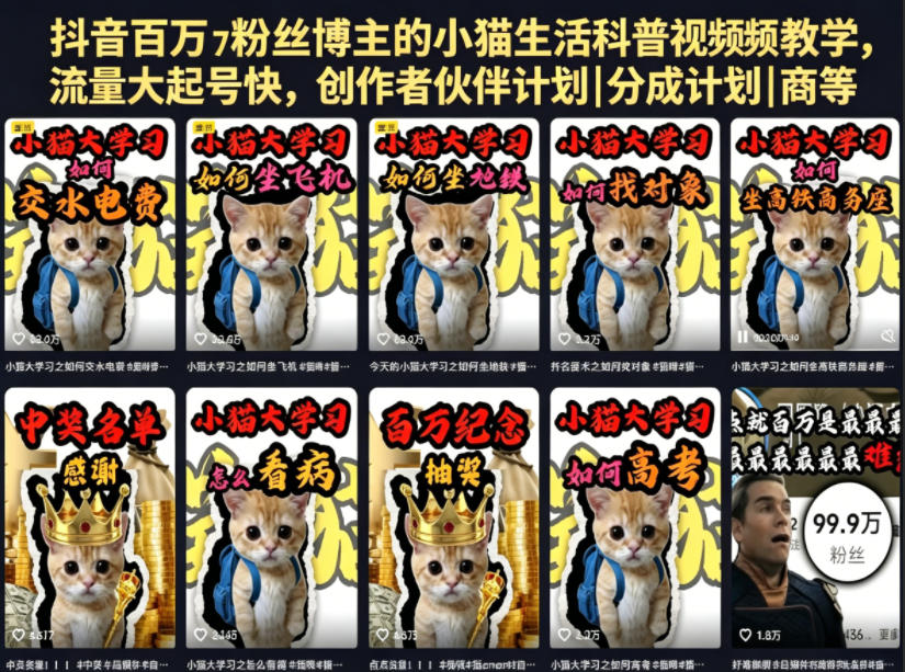 抖音百万粉丝博主的小猫生活科普视频教学，流量大起号快，创作者伙伴计划|分成计划|商单|收徒等-蜗牛学社