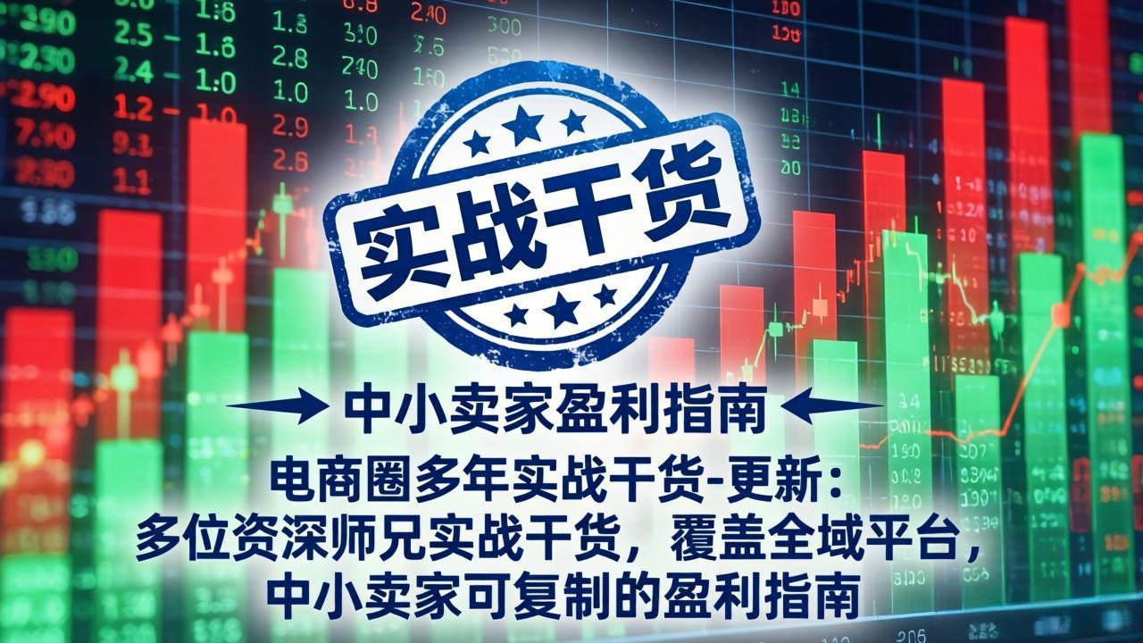 电商圈多年实战干货-更新5月20：多位资深师兄实战干货/覆盖全域平台，中小卖家可复制的盈利指南-蜗牛学社