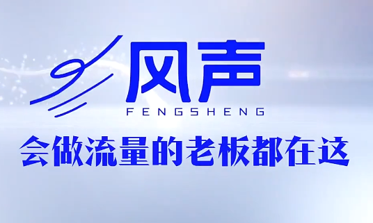董十一·风声短视频AI获客年度会员-蜗牛学社