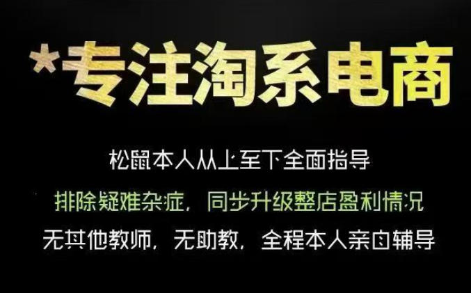 松鼠会电商VIP课程,从基础布局到高阶优化,助你掌握淘宝运营逻辑,提升店铺流量与转化-蜗牛学社